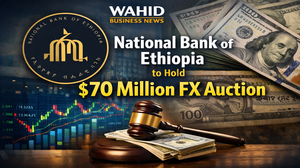 Ethiopia’s Central Bank Offers $70 Million in Fresh FX Auction