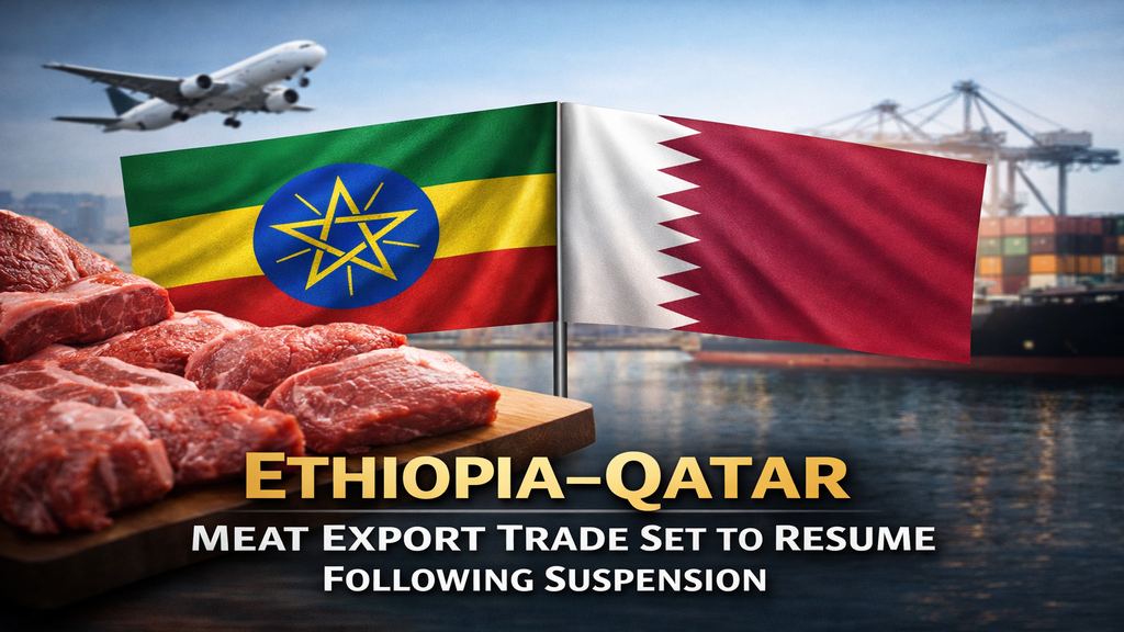 Ethiopia–Qatar Meat Export Trade Set to Resume Following Suspension
