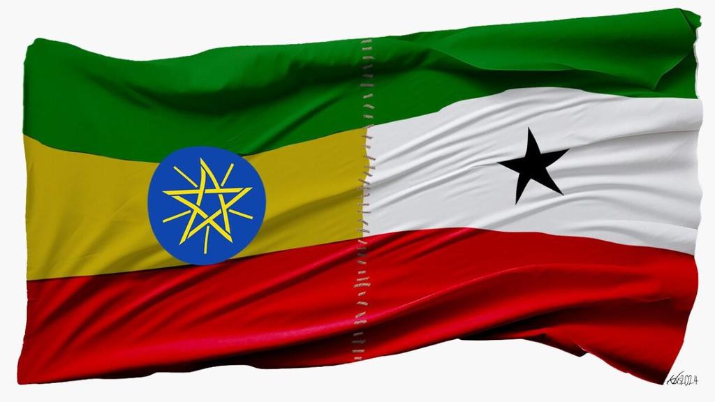 Ethiopia’s state-owned Commercial Bank (CBE) to open a branch in Somaliland